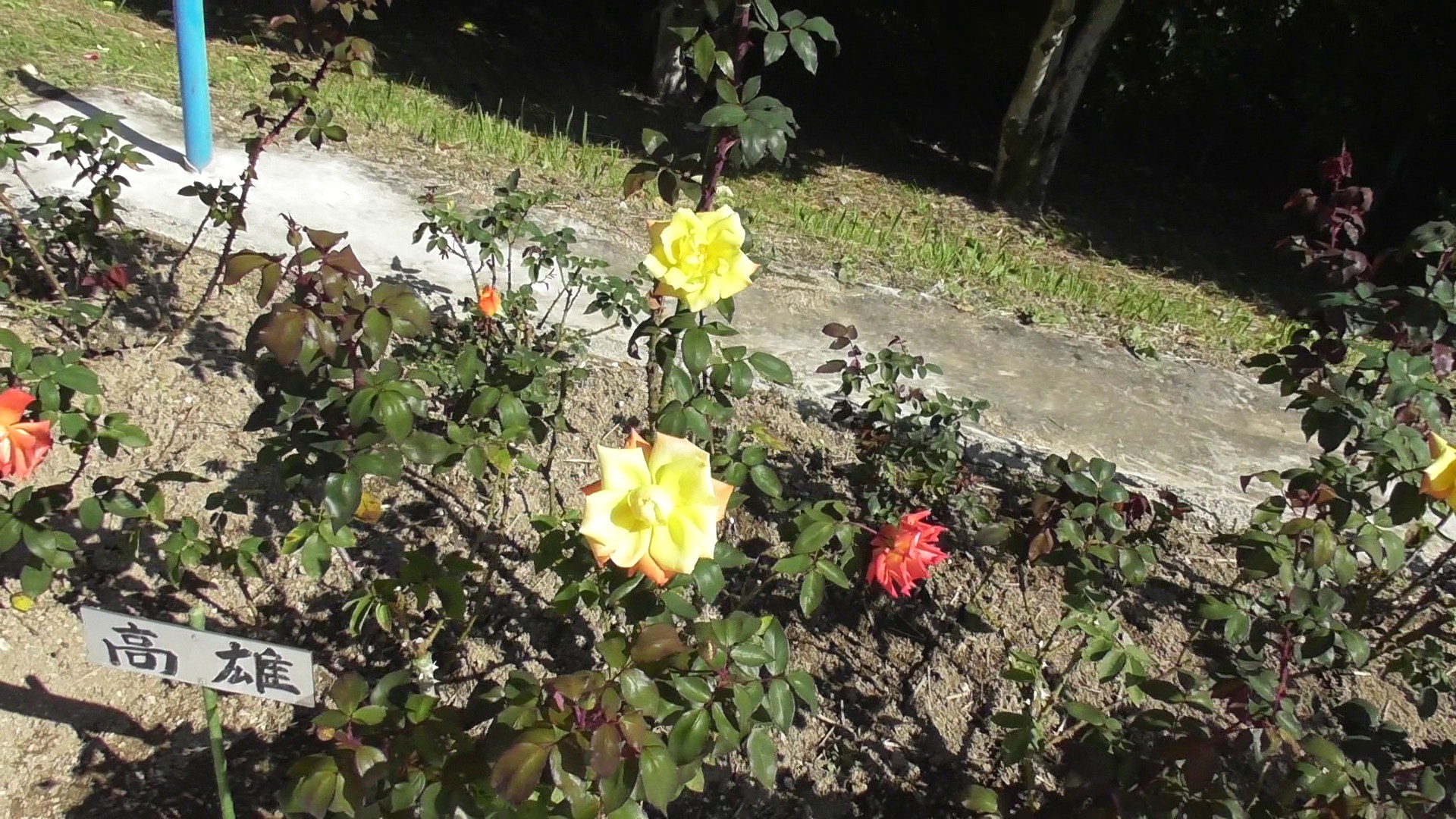 img0056.jpg