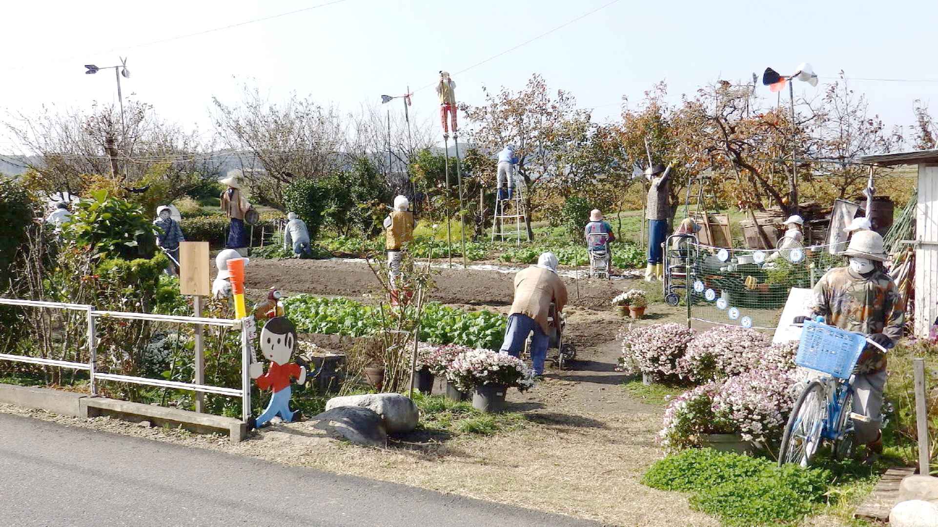 img0027.jpg