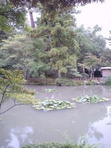 img0016.jpg