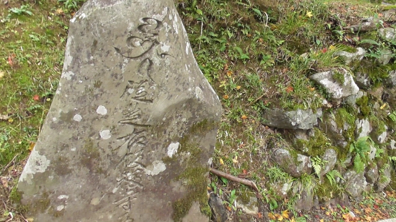 img0133.jpg