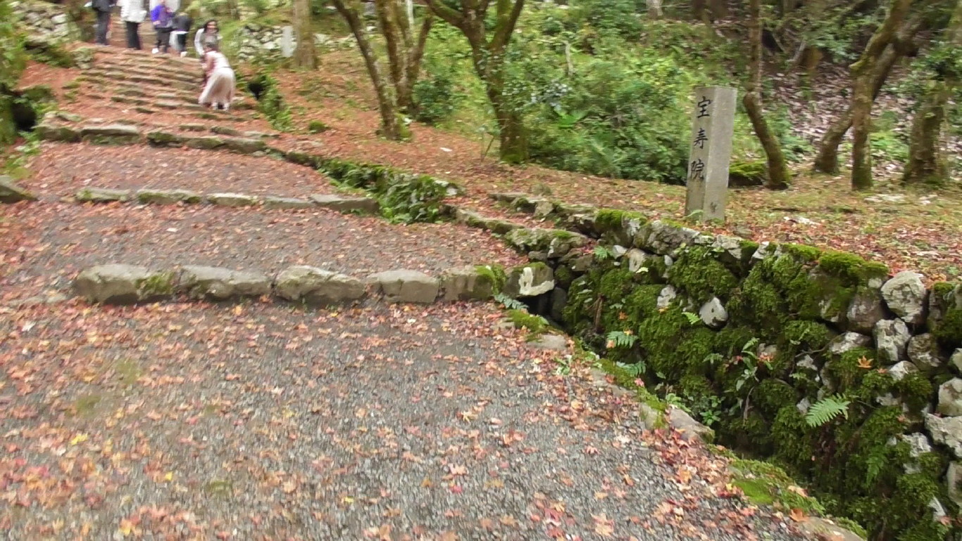img0145.jpg