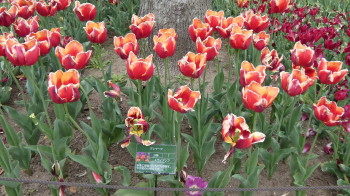 img0034.jpg