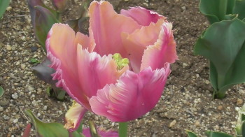 img0084.jpg