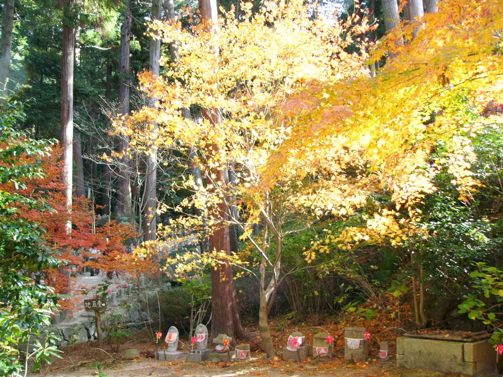 img0045.jpg