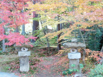img0046.jpg
