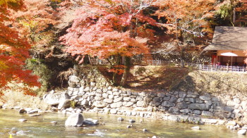 img0007.jpg