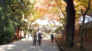 img0028.jpg