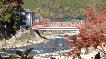 img0053.jpg