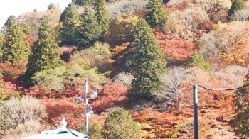 img0063.jpg