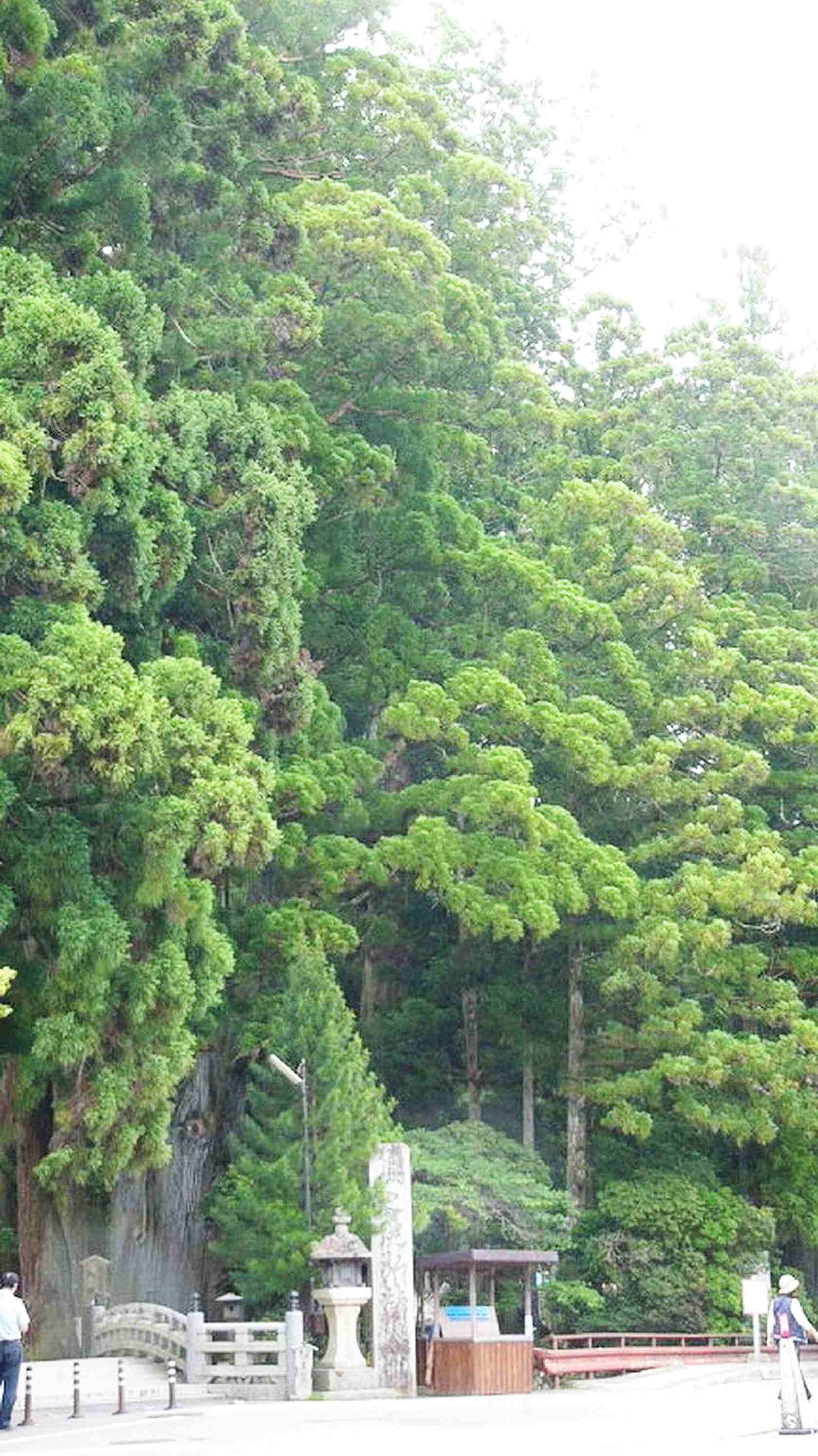 img0044.jpg