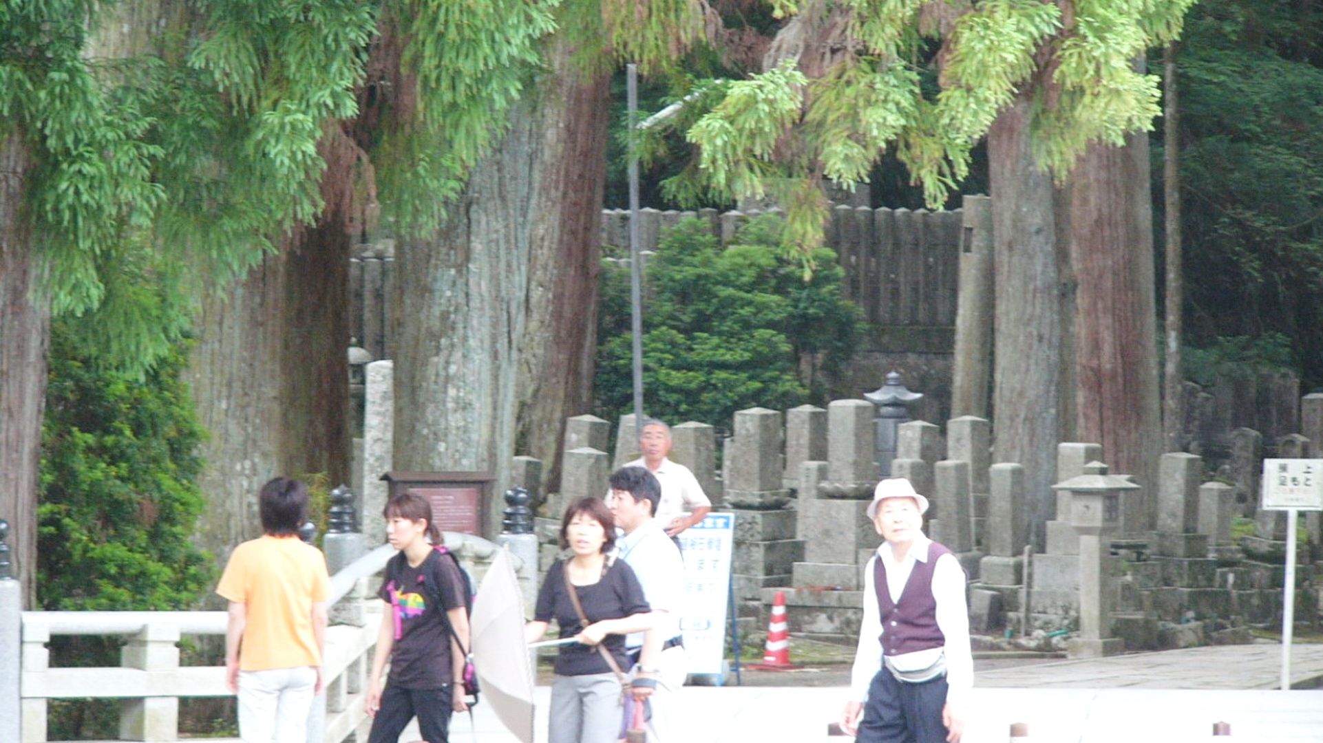 img0045.jpg