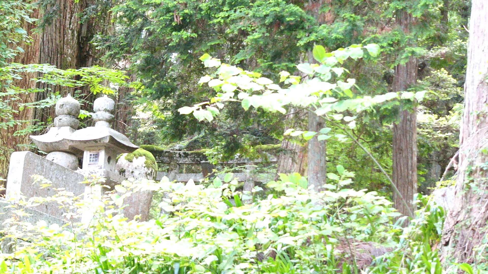 img0070.jpg