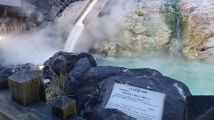 img0008.jpg