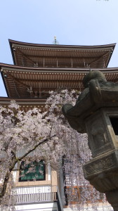 img0036.jpg