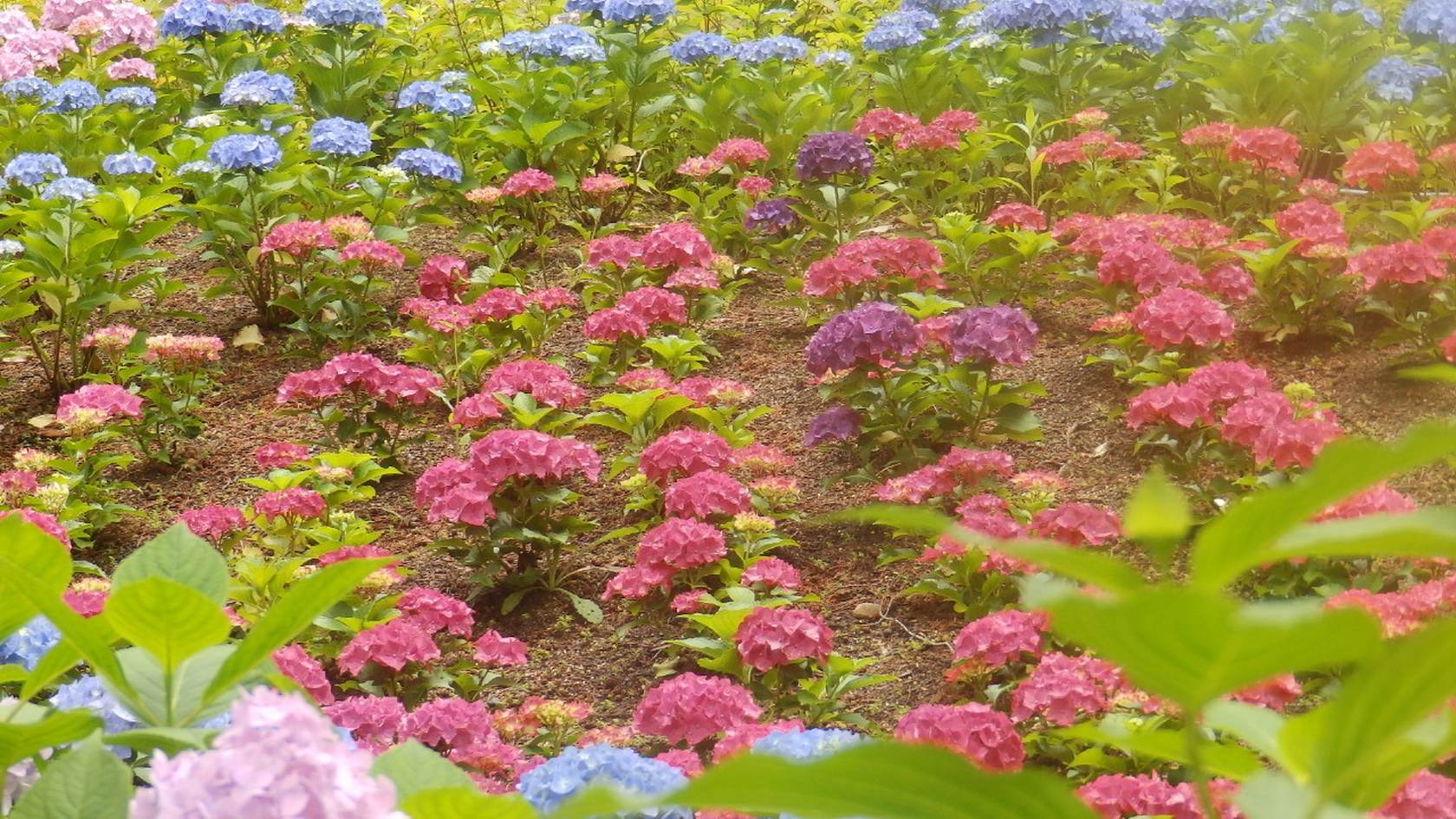 img0044.jpg