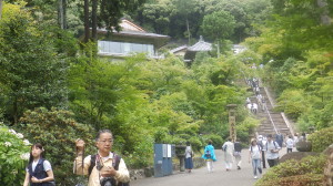 img0011.jpg