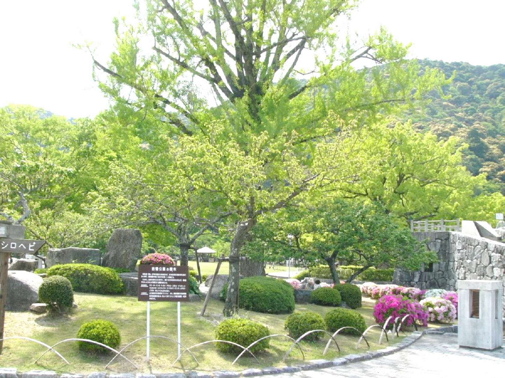 img0048.jpg