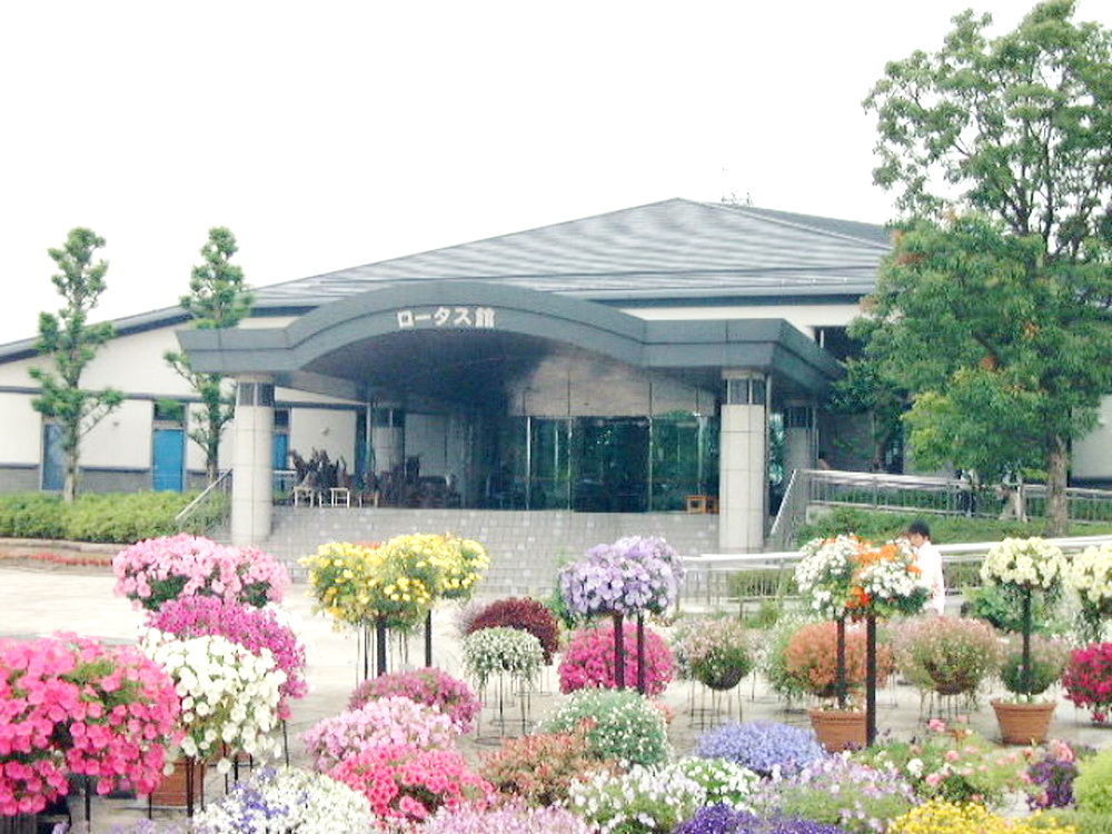 img0008.jpg