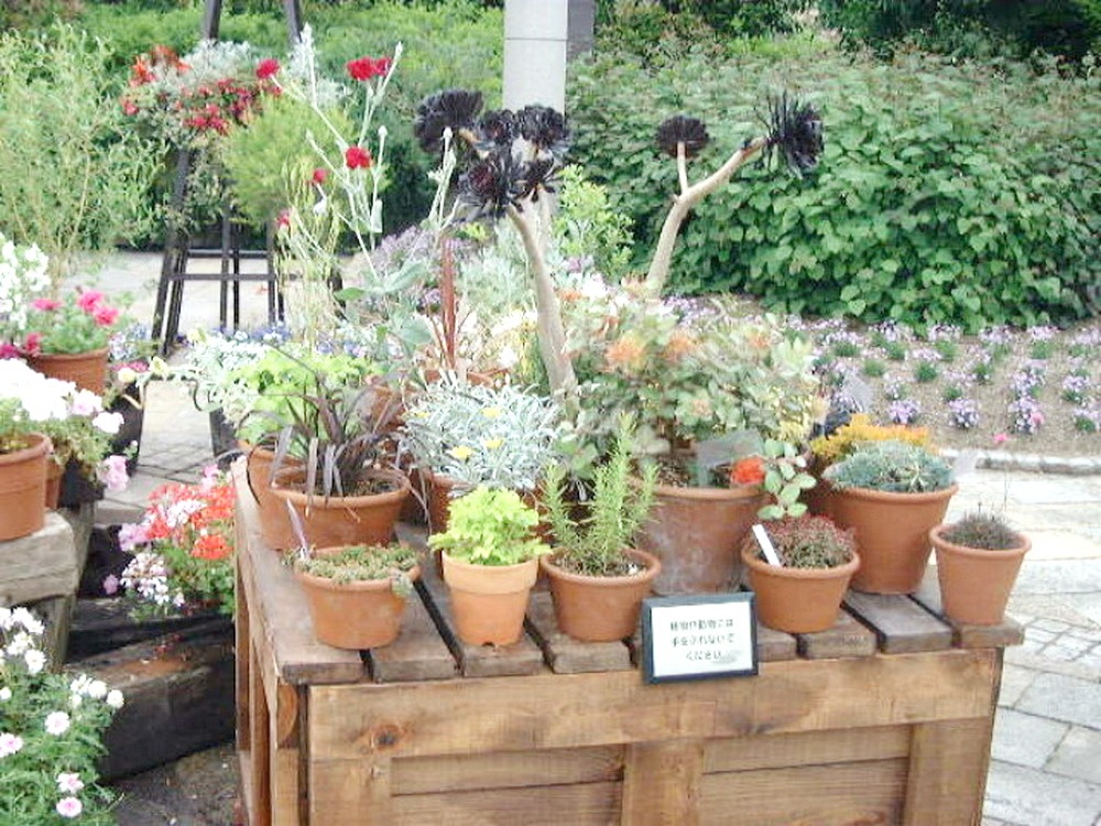 img0012.jpg