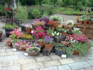img0011.jpg