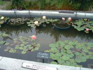 img0064.jpg