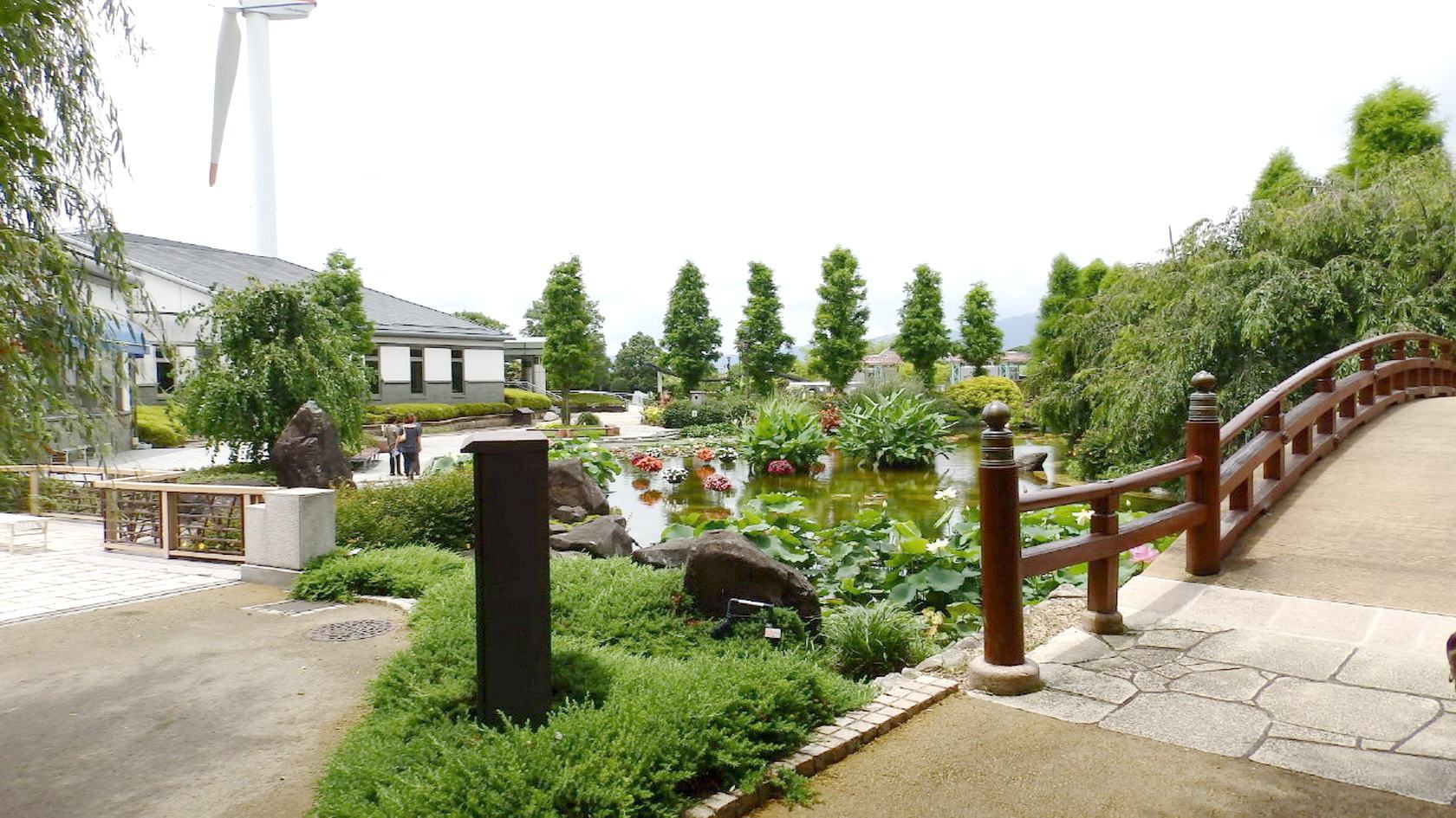 img0033.jpg