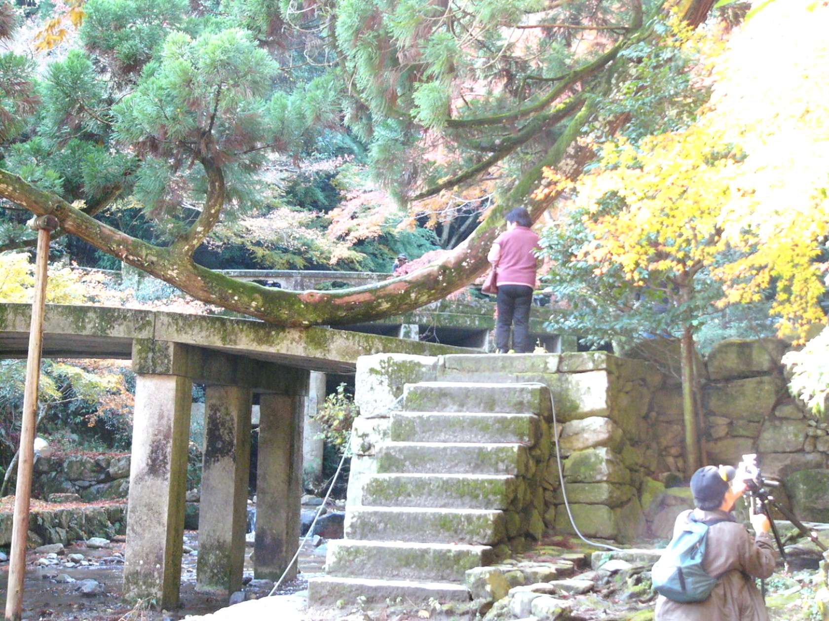 img0018.jpg