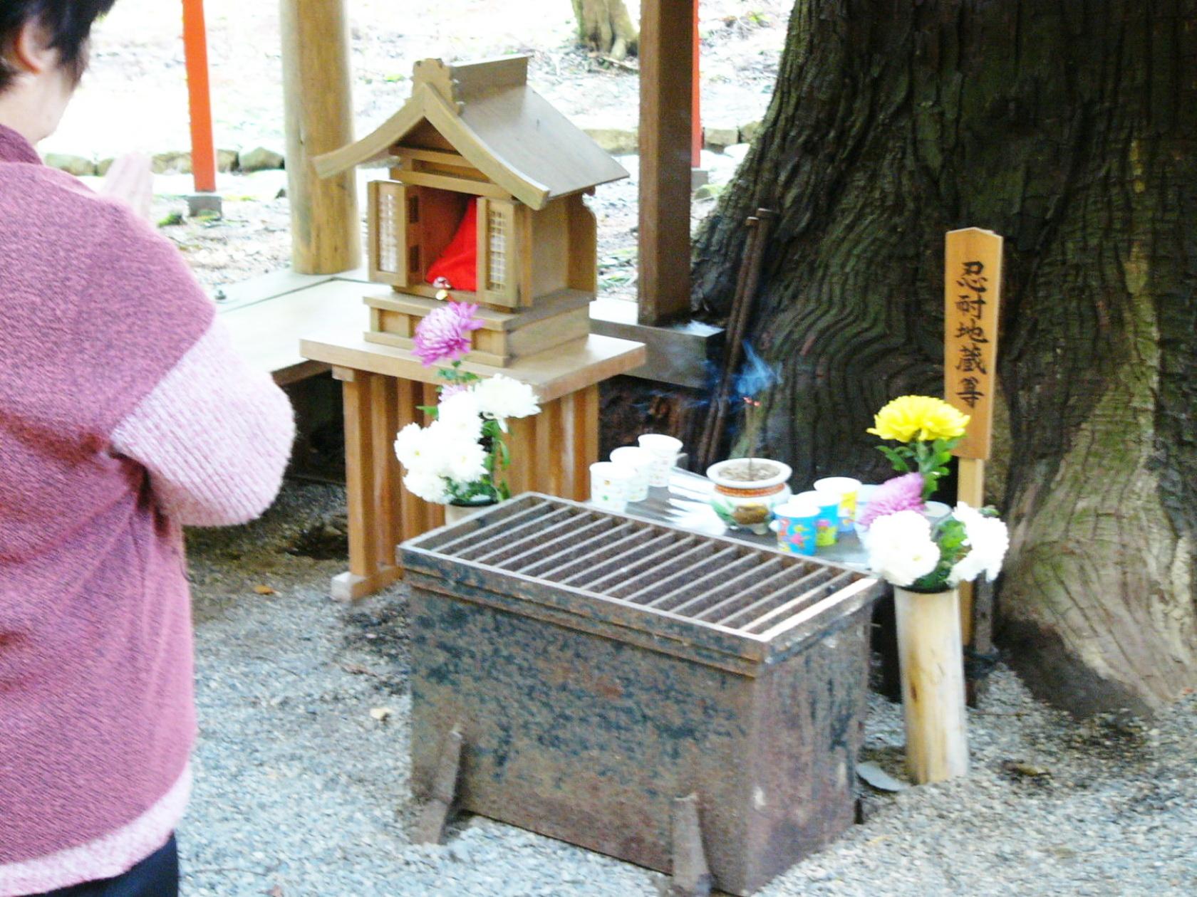 img0133.jpg