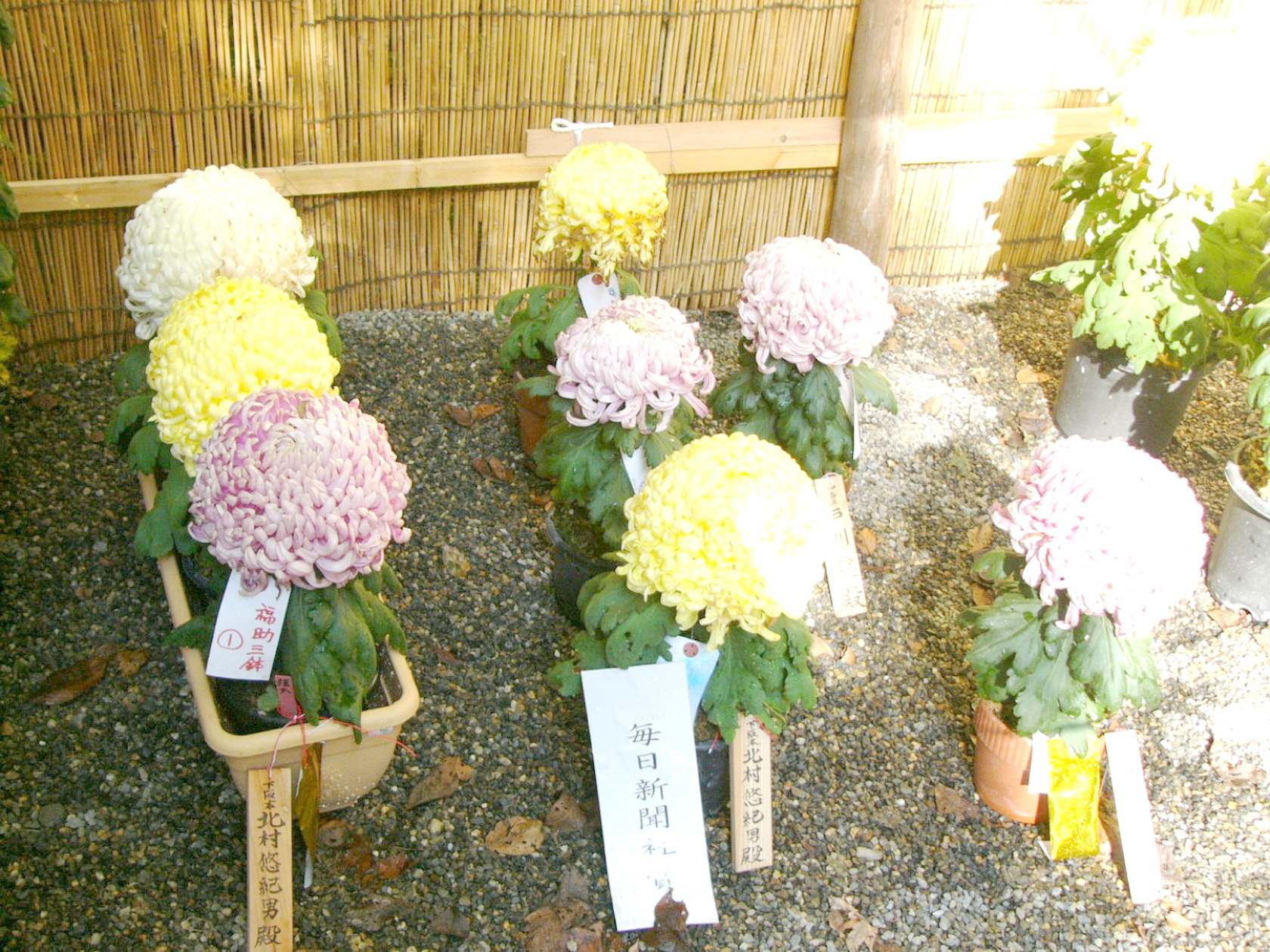 img0144.jpg