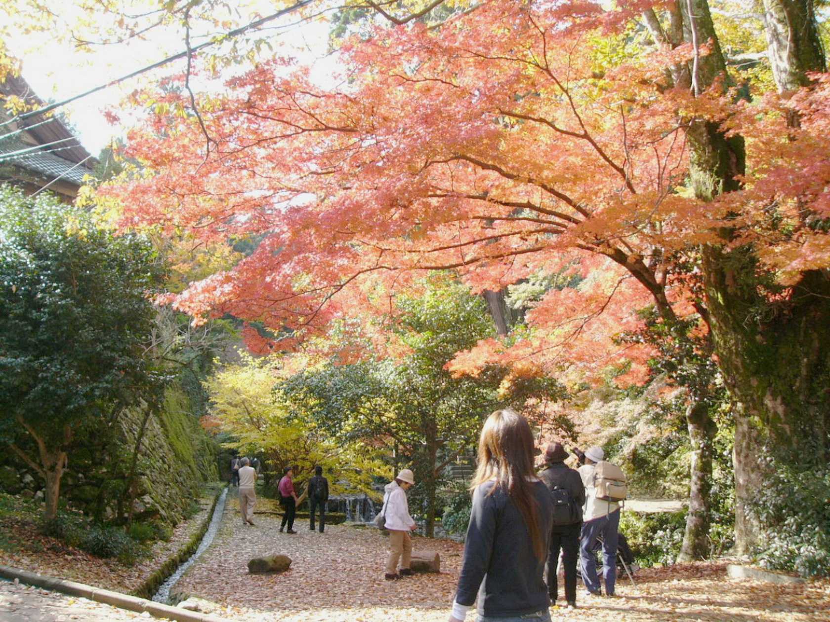 img0190.jpg