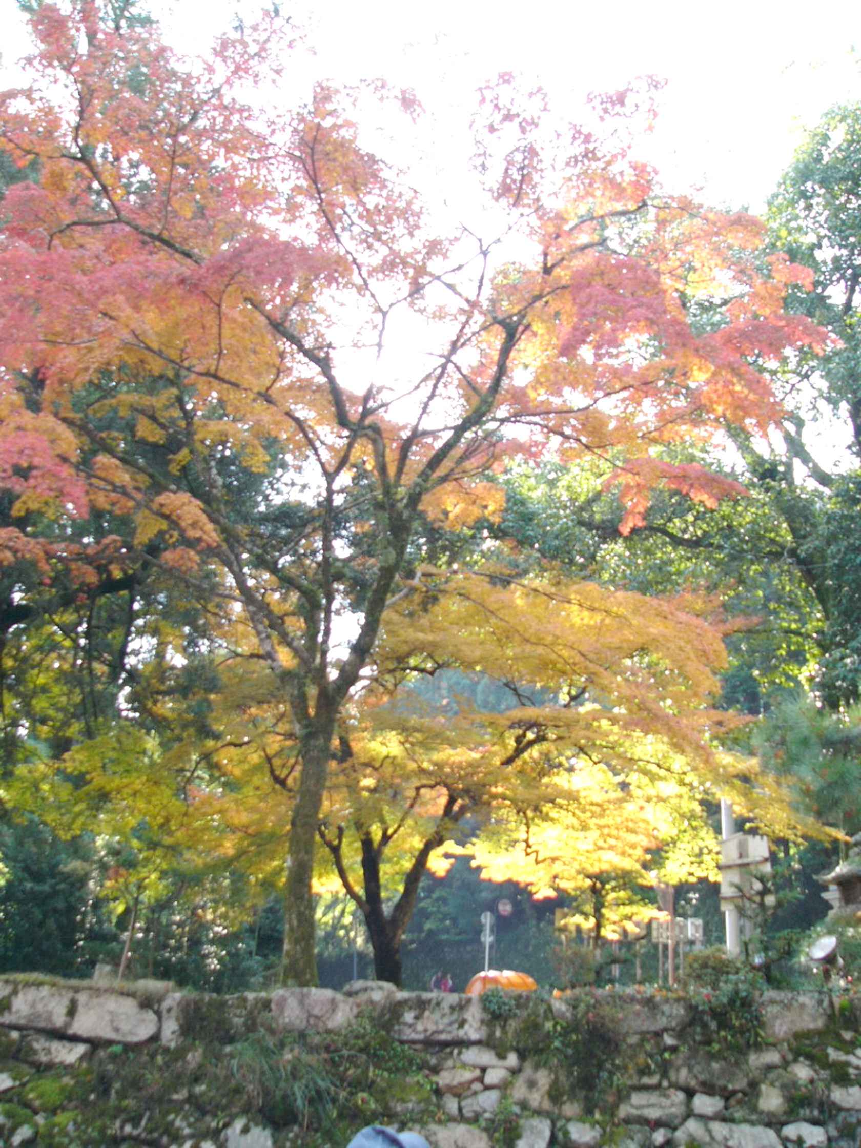 img0198.jpg