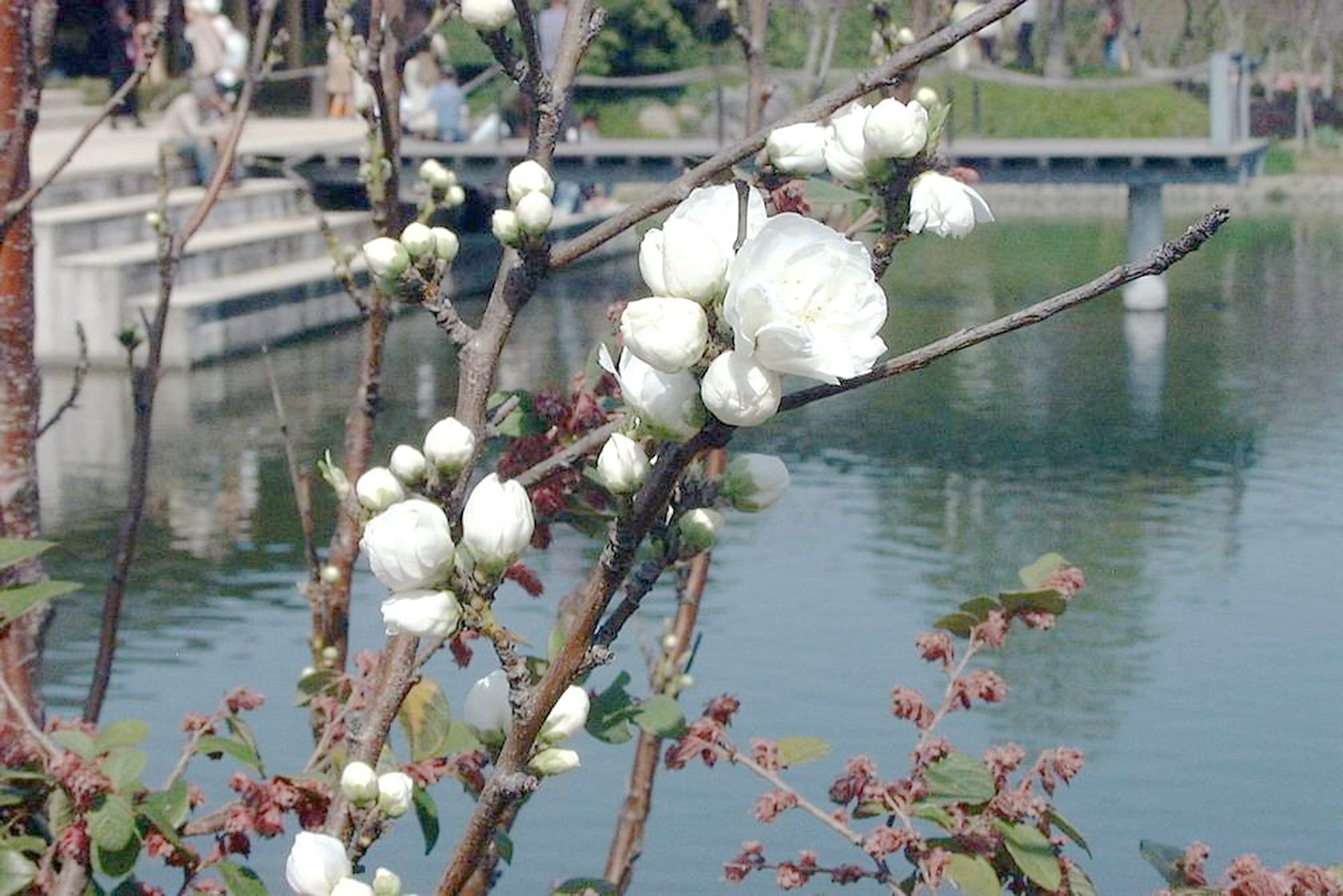 img0015.jpg