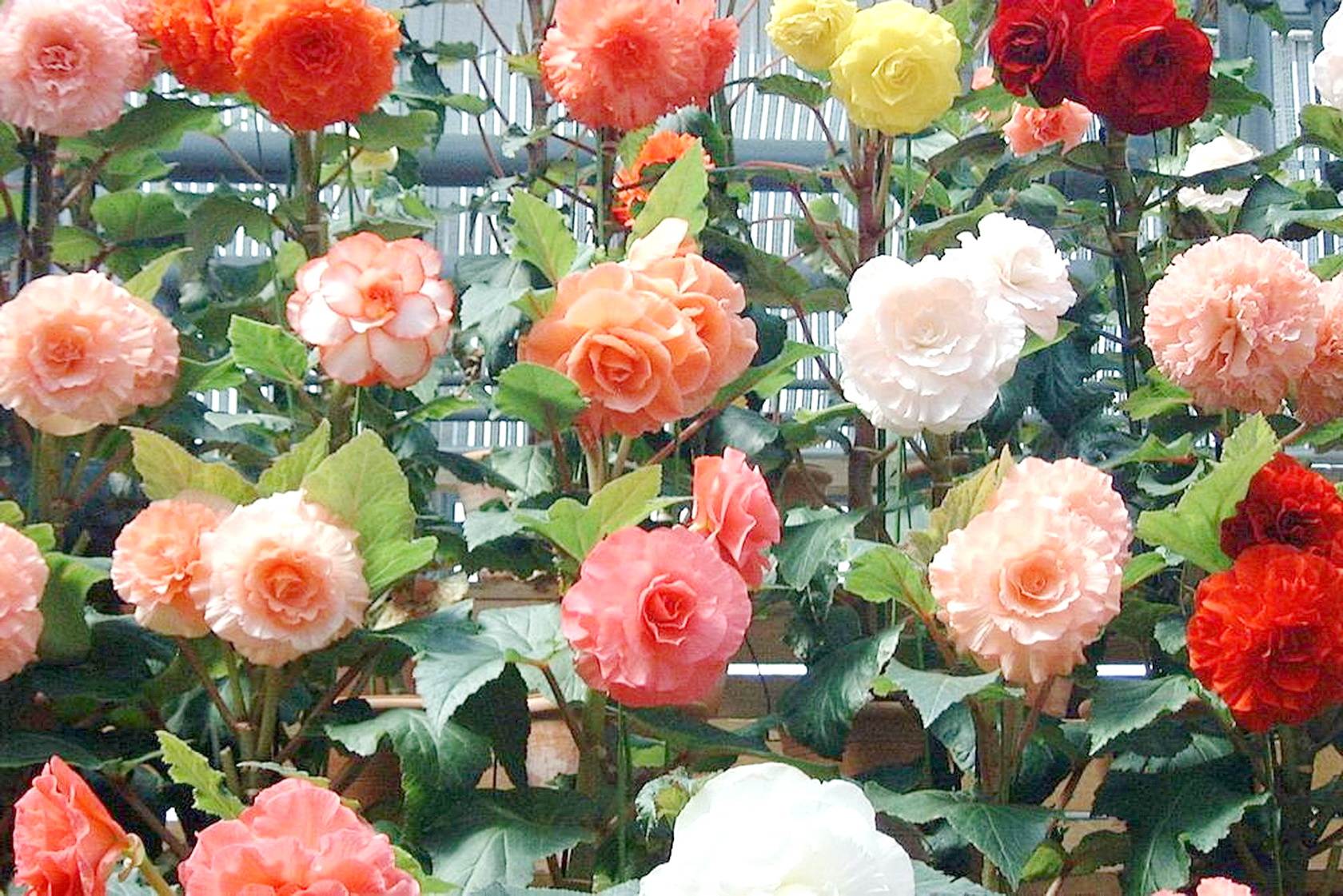 img0021.jpg