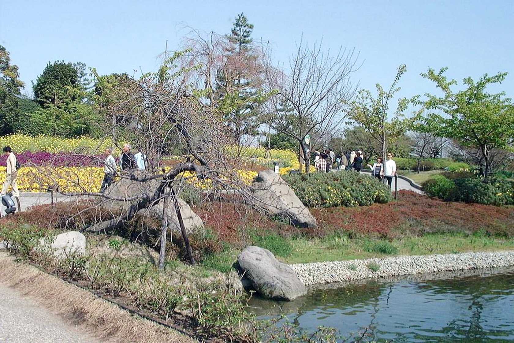 img0068.jpg