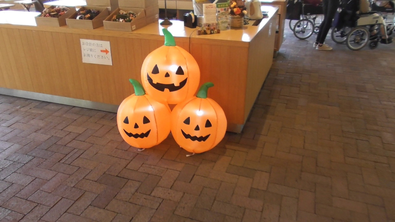 img0148.jpg