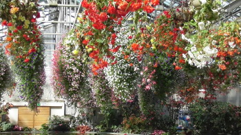 img0130.jpg