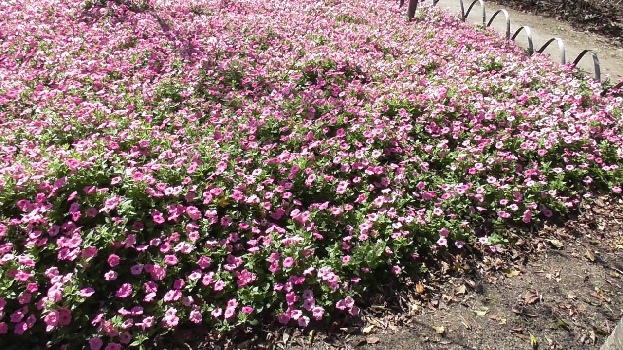 img0099.jpg