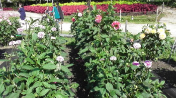 img0057.jpg