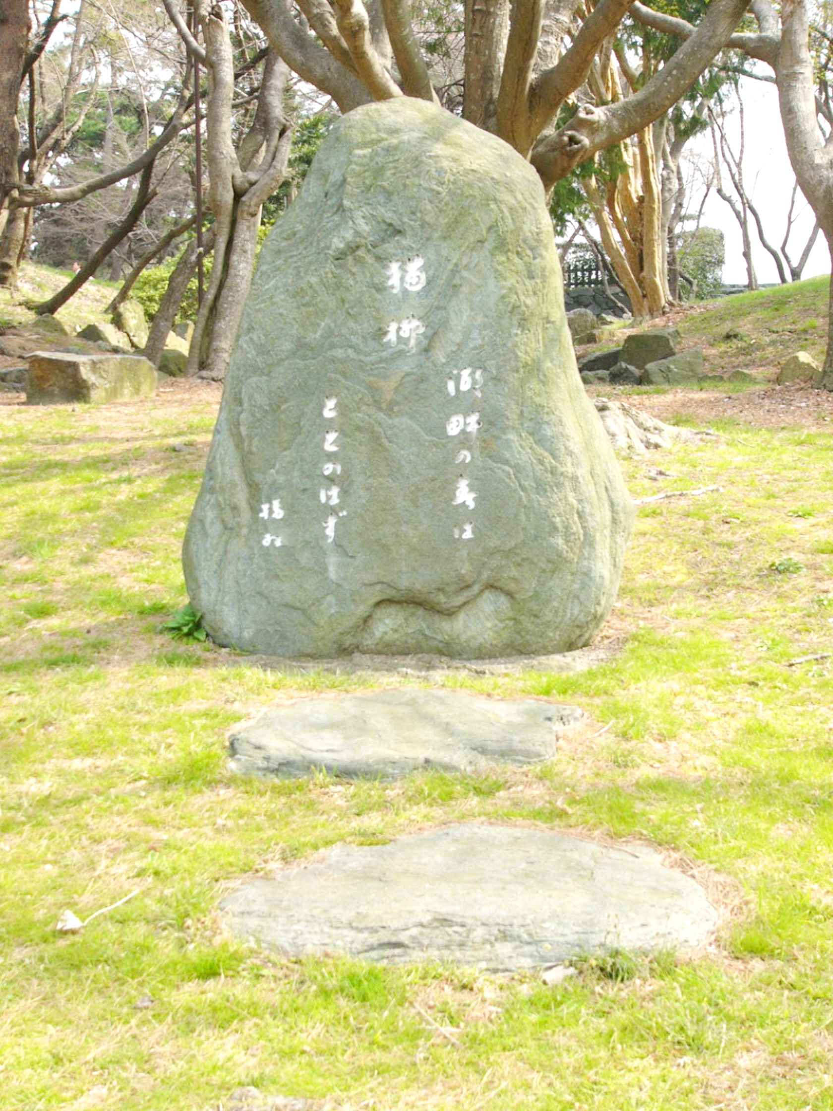 img0031.jpg