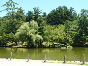 img0009.jpg