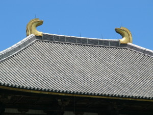 img0024.jpg
