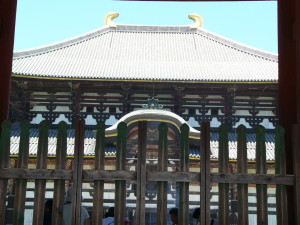 img0056.jpg