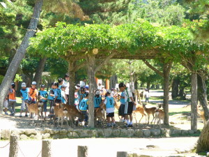 img0070.jpg