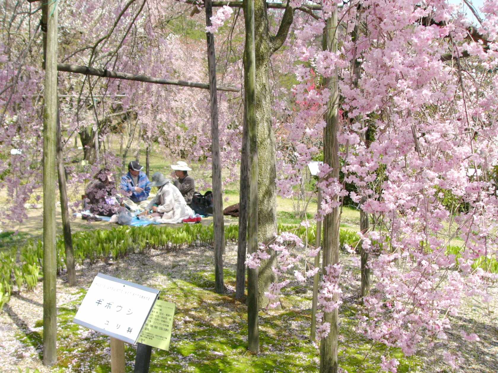 img0001.jpg