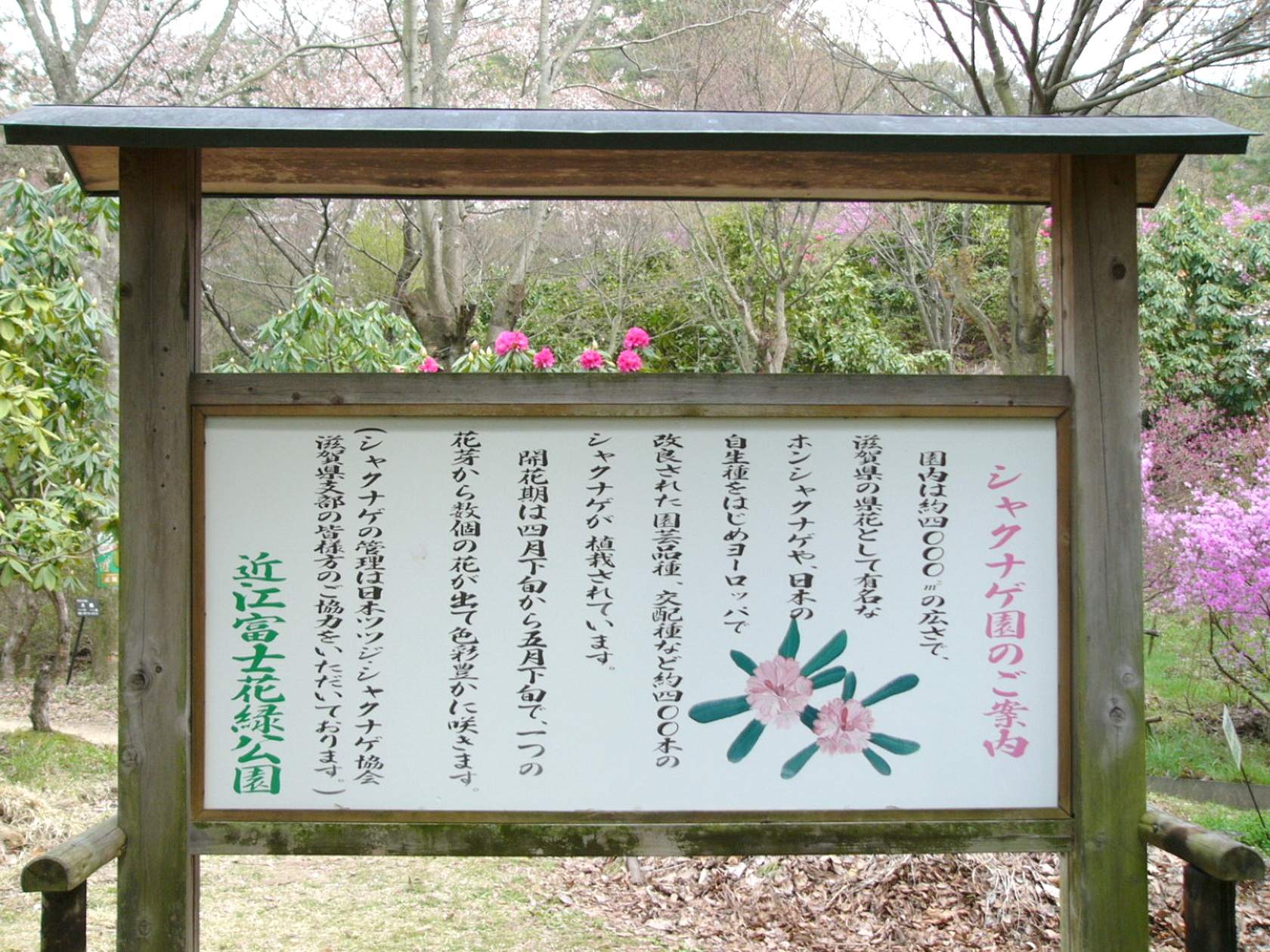 img0022.jpg