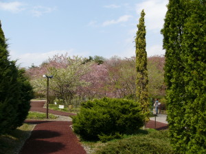 img0015.jpg