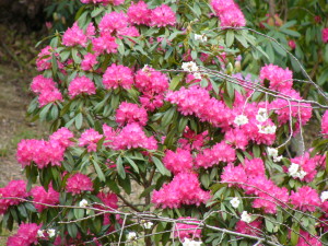 img0024.jpg