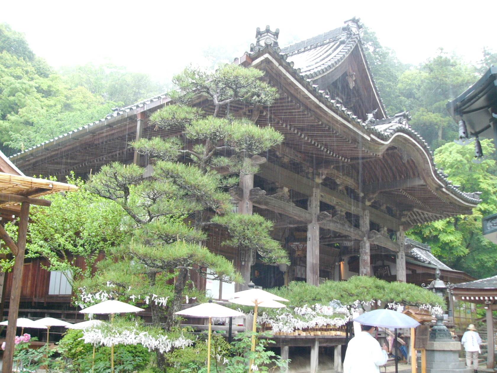 img0025.jpg