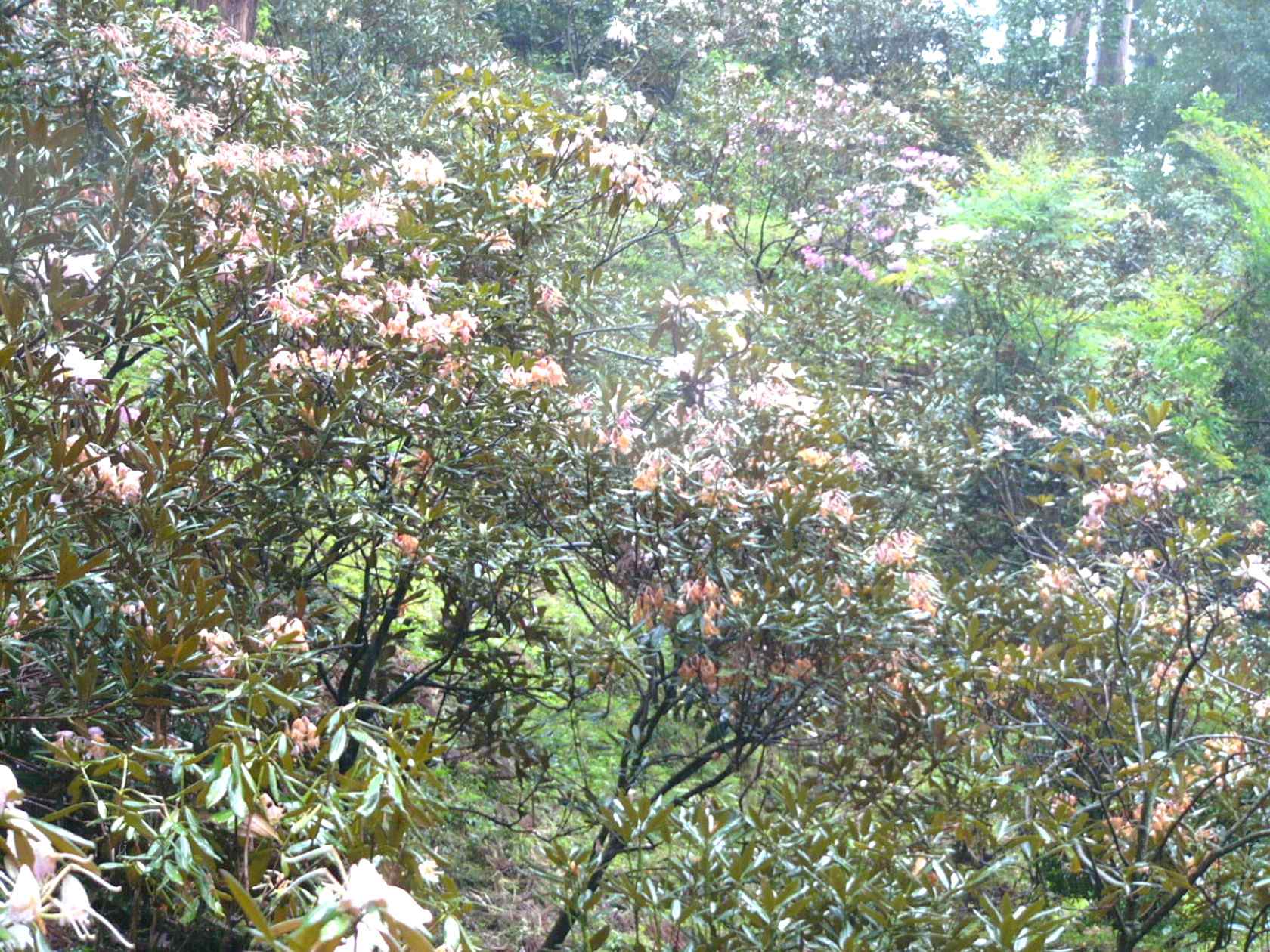 img0047.jpg