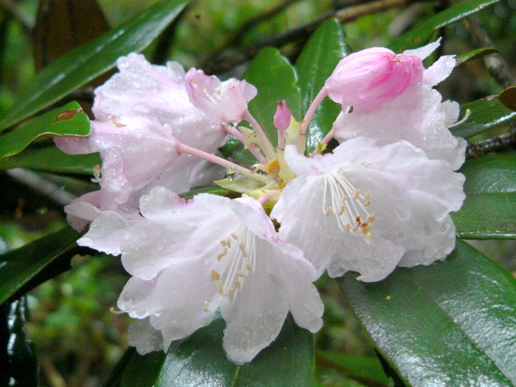 img0059.jpg
